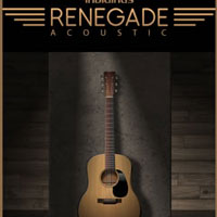 Indiginus Acoustic Guitar Collection [KONTAKT] setup free