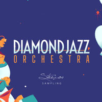 Strezov Sampling Diamond Jazz Orchestra [18 DVD]