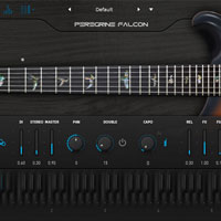 Ample Sound Ample Guitar Peregrine Falcon v3.6.0