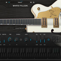 Ample Sound Ample Guitar WF