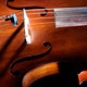 Cellist Solo Cello [DVD]