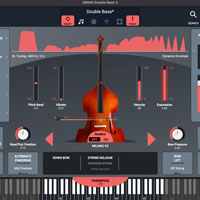 Audio Modeling SWAM Double Bass 3 v3.8.2