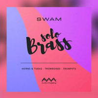 Audio Modeling SWAM Solo Brass V3
