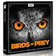 Boom Library Birds of Prey [DVD]