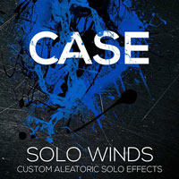 CASE Solo Woodwinds FX