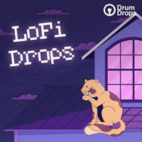 DrumDrops LoFi Drops