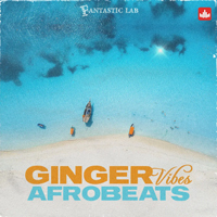 Fantastic Lab Ginger Vibes Afrobeats