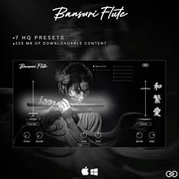Infinite Audio Bansuri Flute