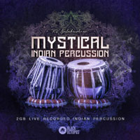 KV Balakrishnan Mystical Indian Percussion