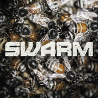 Mandolin Swarm