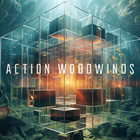 Native Instruments Action Woodwinds v1.0