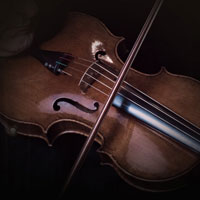 Native Instruments Amati Viola v.1.0