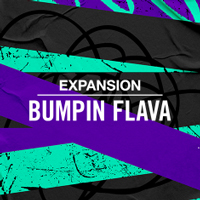 Native Instruments Expansion Bumpin Flava