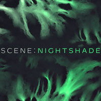 Native Instruments Scene Nightshade