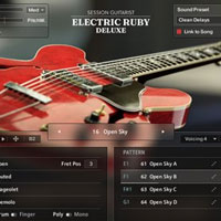 Session Guitarist Electric Ruby Deluxe Session Guitarist Electric Ruby Deluxe