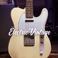 Native Instruments Session Guitarist Electric Vintage | VST 