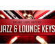 Organic Loops Jazz and Lounge Keys [DVD]