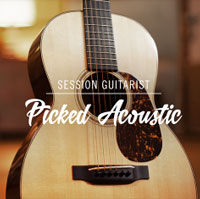 Session Guitarist Picked Acoustic