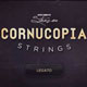 Strezov Sampling Cornucopia Strings v1.4 [2 DVD]
