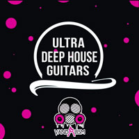 Vandalism Ultra Deep House Guitars