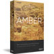 Virtual Guitarist Amber v1.0.1