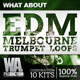 What About: EDM Melbourne Trumpet Loops [DVD]