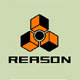 REASON 5
