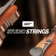AIR Music Technology Studio Strings v1.1