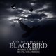 Advanced Drum Series Blackbird