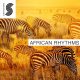 African Rhythms [DVD]
