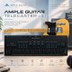 Ample Guitar Telecaster v3.1