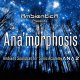 Anamorphosis for Sonic Academy ANA 2