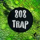 Angry Parrot 808 Trap