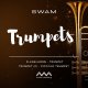 Audio Modeling SWAM Trumpets v1.0.1