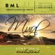 BML Mural Symphonic Evolutions