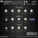 BigSwingFace Big Swing Grand 2.0 [DVD]