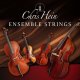 Chris Hein Ensemble Strings