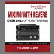 David Glenn Mixing with Reverb Tutorial