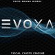 Echo Sound Works Evoxa