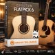 Evolution Flatpick 6