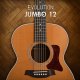 Evolution Jumbo 12