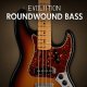 Evolution Roundwound Bass