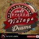 Future Loops Dusty Breaks Vintage Drums [DVD]