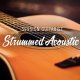 Native Instruments Session Guitarist and Strummed Acoustic [2 DVD]