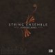 Native Instruments Symphony Essentials - String Ensemble
