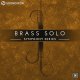 Native Instruments Symphony Series - Brass Solo [5 DVD]