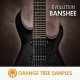 Orange Tree Samples Evolution Banshee [2 DVD]