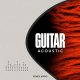 Sonex Audio Acoustic Guitars