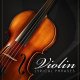 Sonuscore Lyrical Violin Phrases