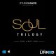 Soul Trilogy Collection
